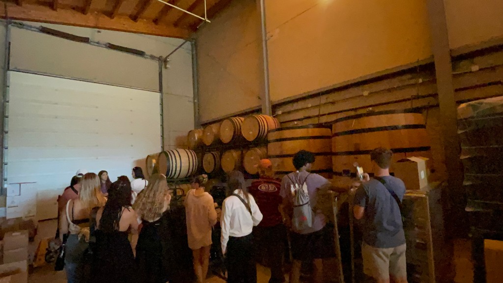 Visit to a wine cellar