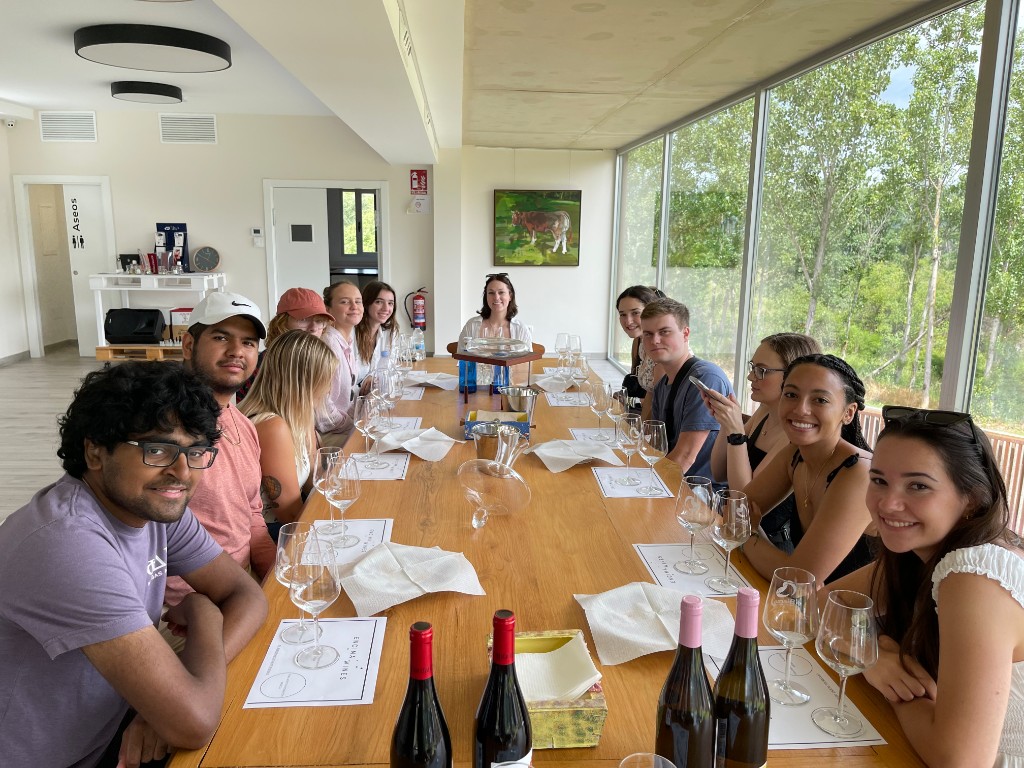 Group wine tasting in El Bierzo