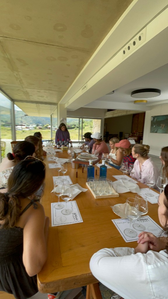 Guided wine tasting at a long table